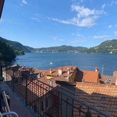 The View